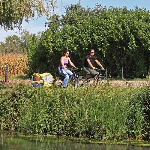 BL 152 - Vom Kohl auf den Teller