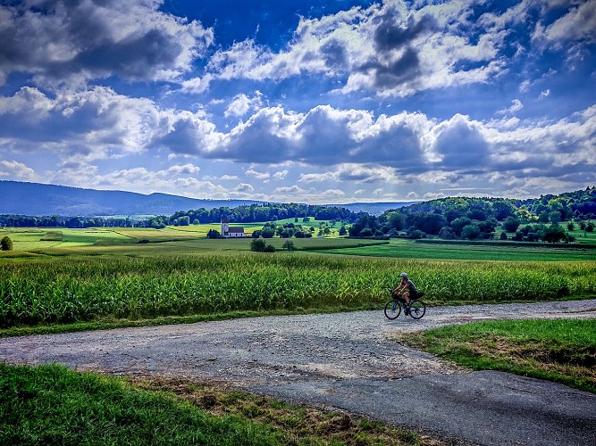 Vélo Gravel à Oltingue en Alsace