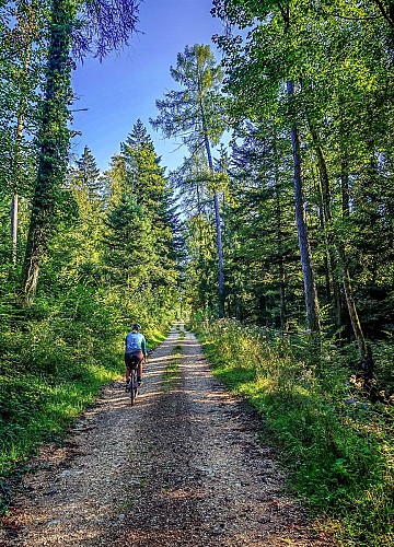 Vélo Gravel en Alsace dans le Sundgau
