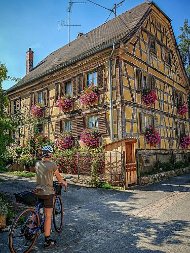 Vélo Gravel à Durmenach en Alsace