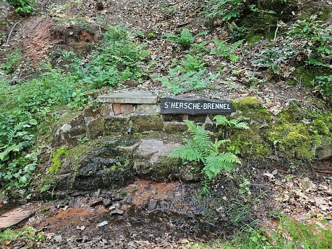 Source