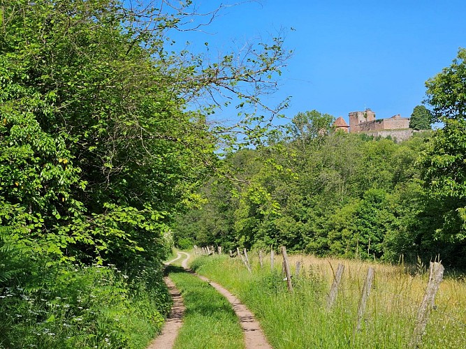 En contrebas du château de Lichtenberg