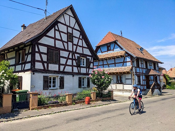 Tour du Sundgau à vélo