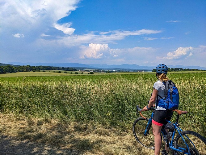Tour du Sundgau à vélo
