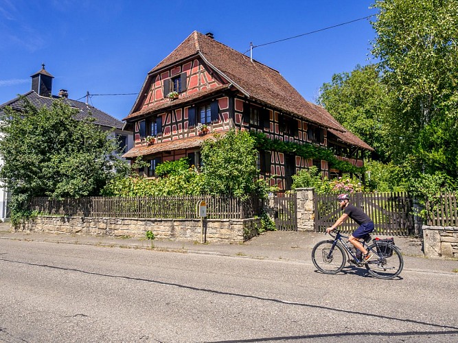 Tour du Sundgau à vélo