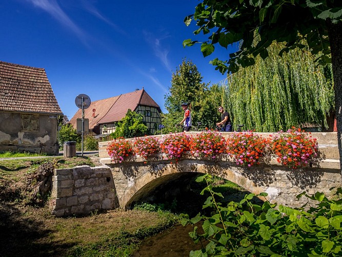 Tour du Sundgau à vélo