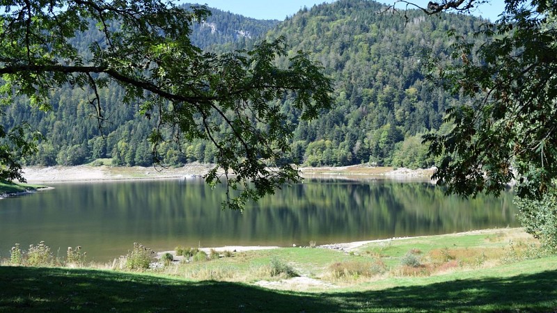 BL154 - NaThur pur – entlang der Thur