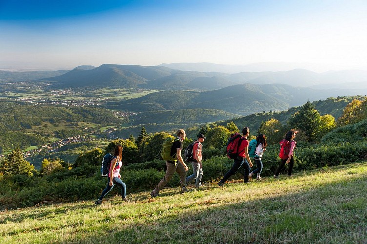 Traversée du Massif des Vosges à pied - Wissembourg à Belfort
