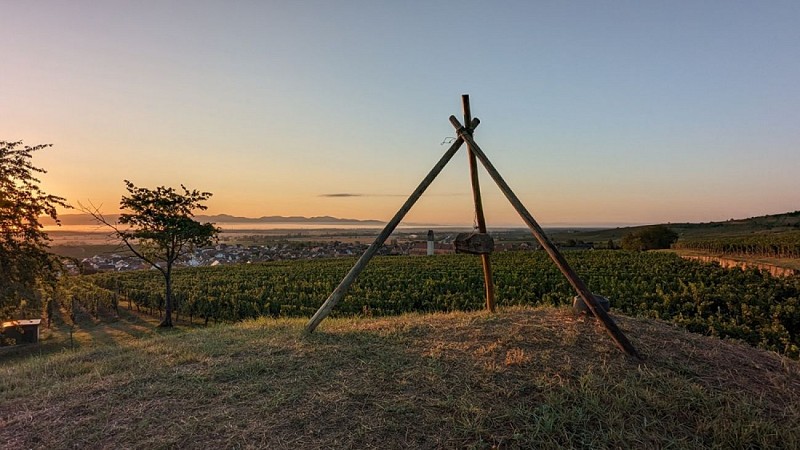 Der Spaziergang des Grand Cru Steinert