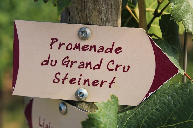 La promenade du Grand Cru Steinert