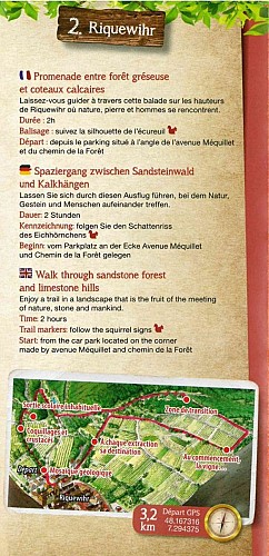 Interpretation trail 'Promenade entre forêt gréseuse et coteaux lim limaires' (Walk between sandstone forest and limestone hillsides)