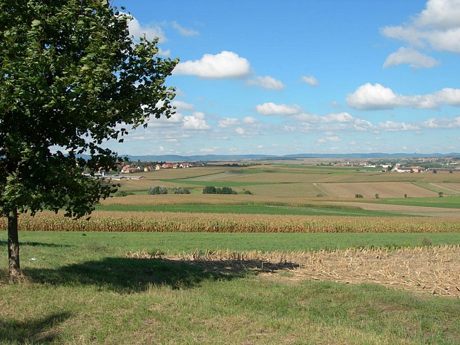 Durch die Gegend vom "Kochersberg"