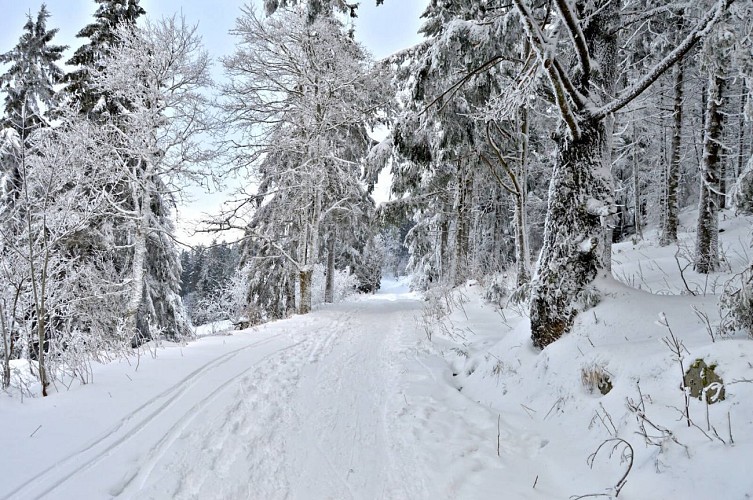 Schneeschuh-Rundweg - Cimetière Duchesne
