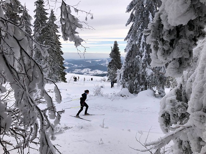 Snowshoe trail - Cimetière Duchesne
