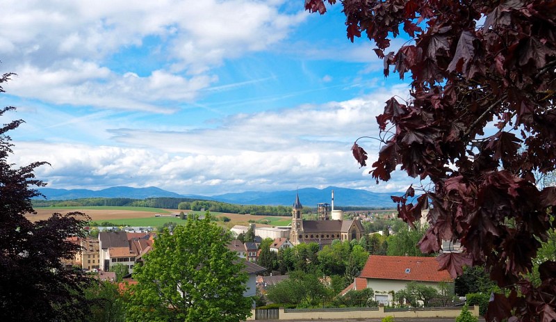 Vue depuis le Roggenberg