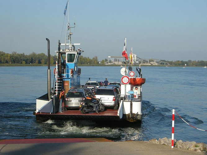 BL976 - Rhineland Jungle