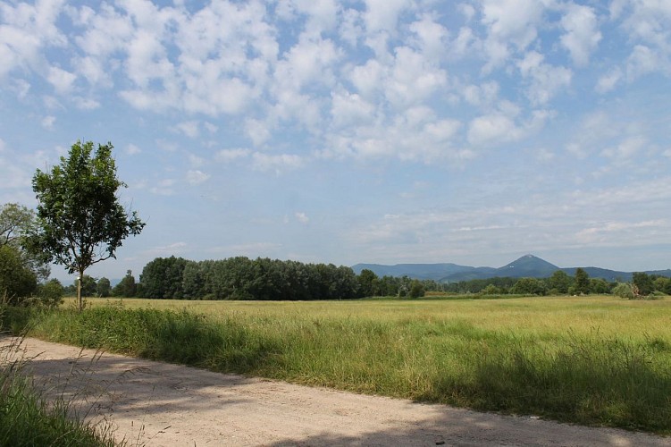 Sentier L'Ill aux trésors