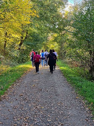 Sentier L'Ill aux trésors