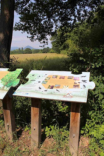 Sentier L'Ill aux trésors