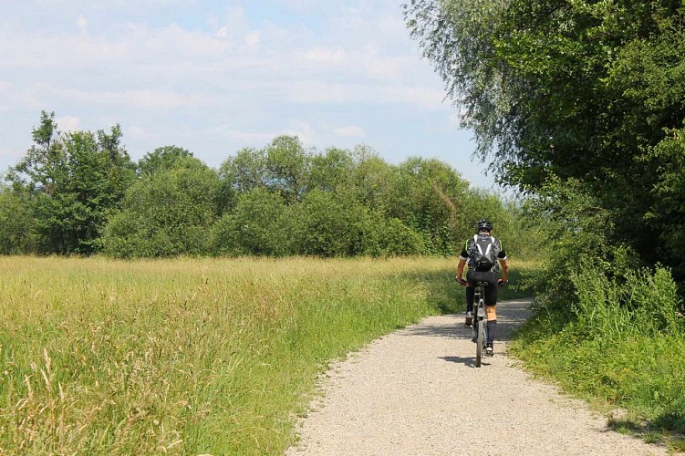 Sentier L'Ill aux trésors