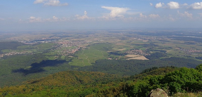 La plaine d'Alsace et ses paysages