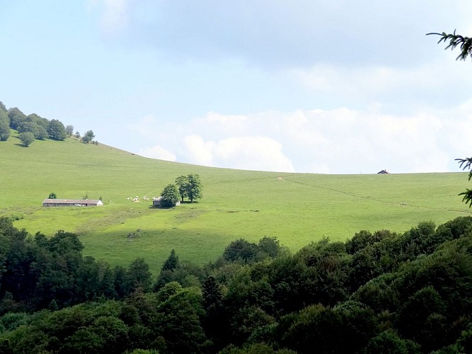 Vue sur le massif du Rossberg