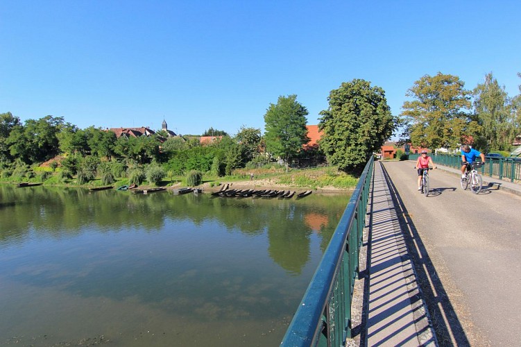 Delta de la Sauer