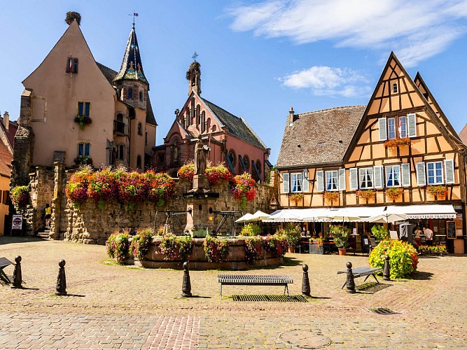 Cycling tour - Kaysersberg - Eguisheim - Colmar