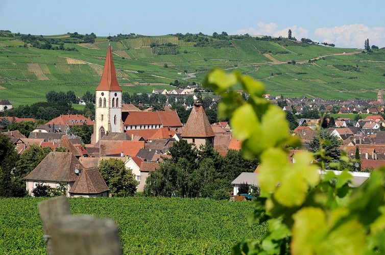 Cycling tour - Kaysersberg - Eguisheim - Colmar