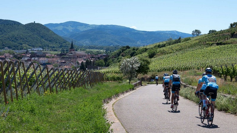 Cycling tour - Kaysersberg - Eguisheim - Colmar