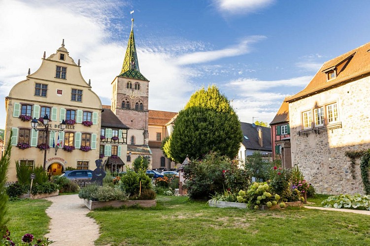 Circuit cyclo - Kaysersberg - Eguisheim - Colmar
