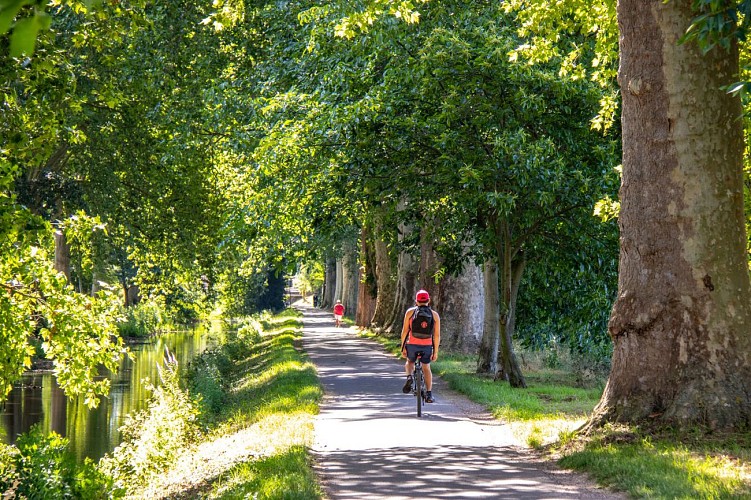 Circuit cyclo - Kaysersberg - Eguisheim - Colmar