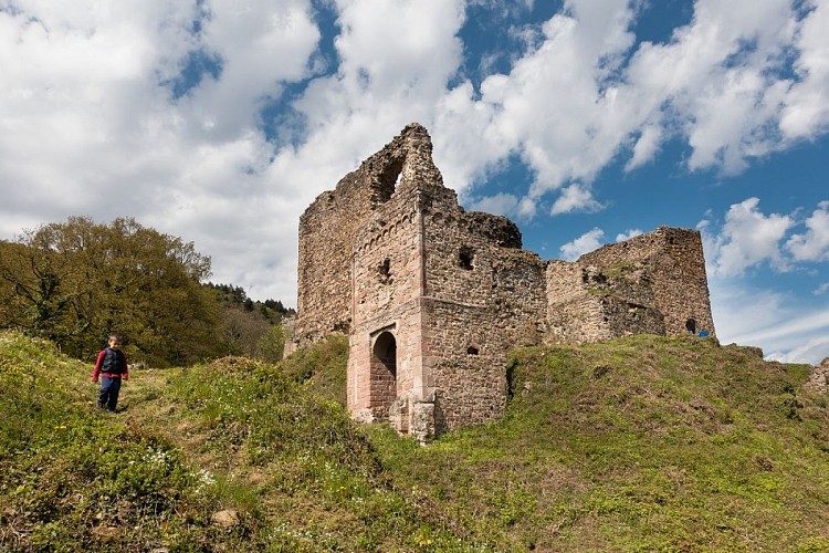 Le château du Hugstein