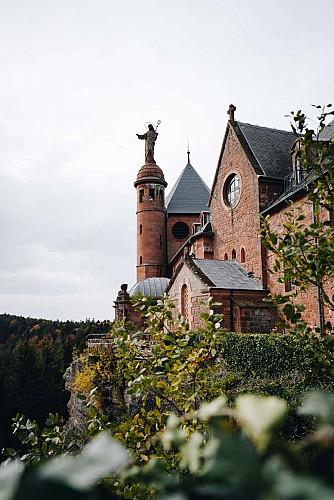 BL683 - Am Fuße des Mont Sainte-Odile (Variante)