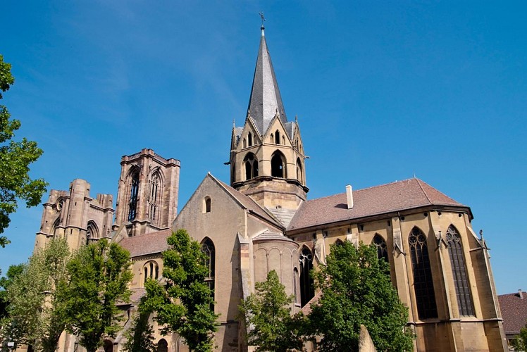 BL348 - Am Fuße des Petit Ballon, zwischen Weinbergen und Wald