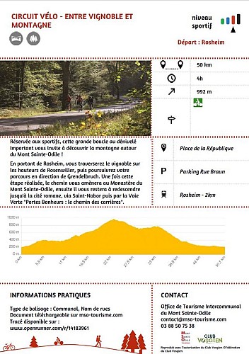 Circuit vélo - Entre vignoble et montagne