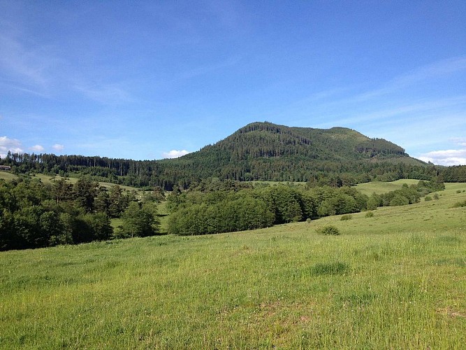 Circuit rando H01 : La clairière du Hang au pied du Climont