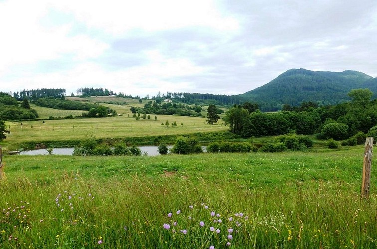 Circuit rando H01 : La clairière du Hang au pied du Climont