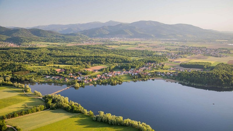 BL625 - All steam ahead to bird country