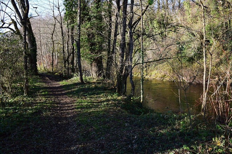 Marche santé Sentheim, sentier de la Doller