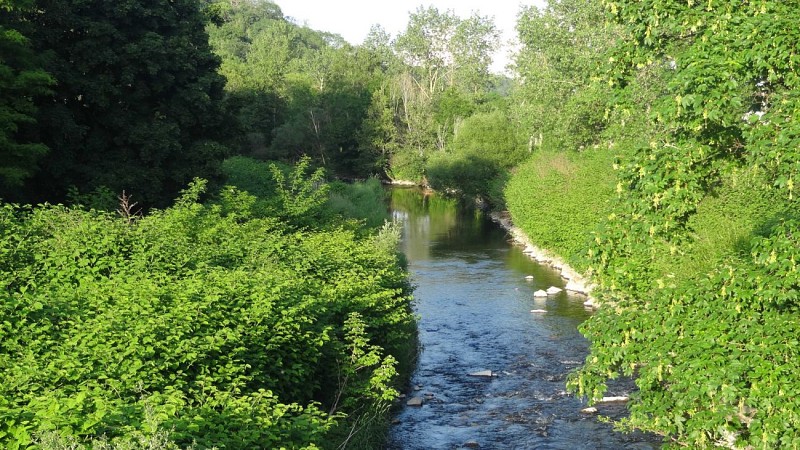 Marche santé Sentheim, sentier de la Doller