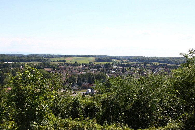 Marche santé Sentheim, sentier de la Doller