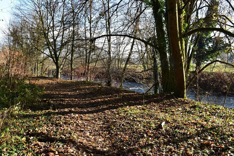 Marche santé Sentheim, sentier de la Doller