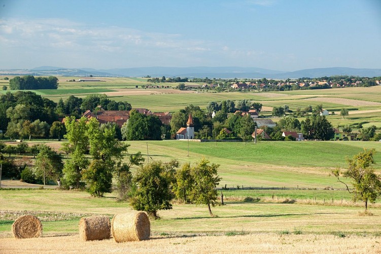 Issenhausen