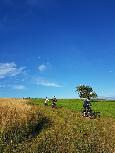 Les champs avec les VTTistes