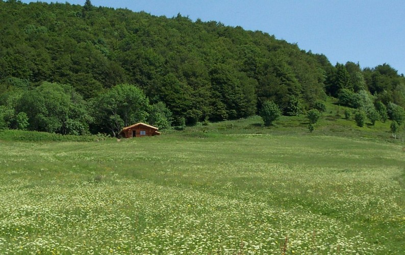 Rundwanderung zum Hütten Obere Bers über die Neuweiher-Seen