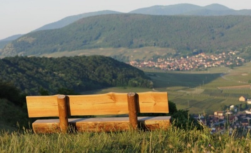 Weinlehrpfad von Westhalten (Strangenberg)