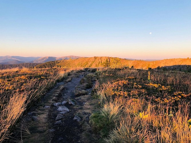 Etappenwandern - vom Lac Blanc bis zum Grand Ballon