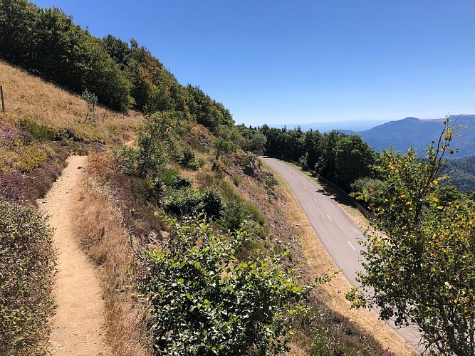 Etappenwandern - vom Lac Blanc bis zum Grand Ballon