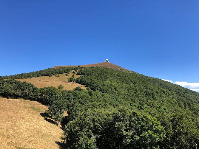 Etappenwandern - vom Lac Blanc bis zum Grand Ballon